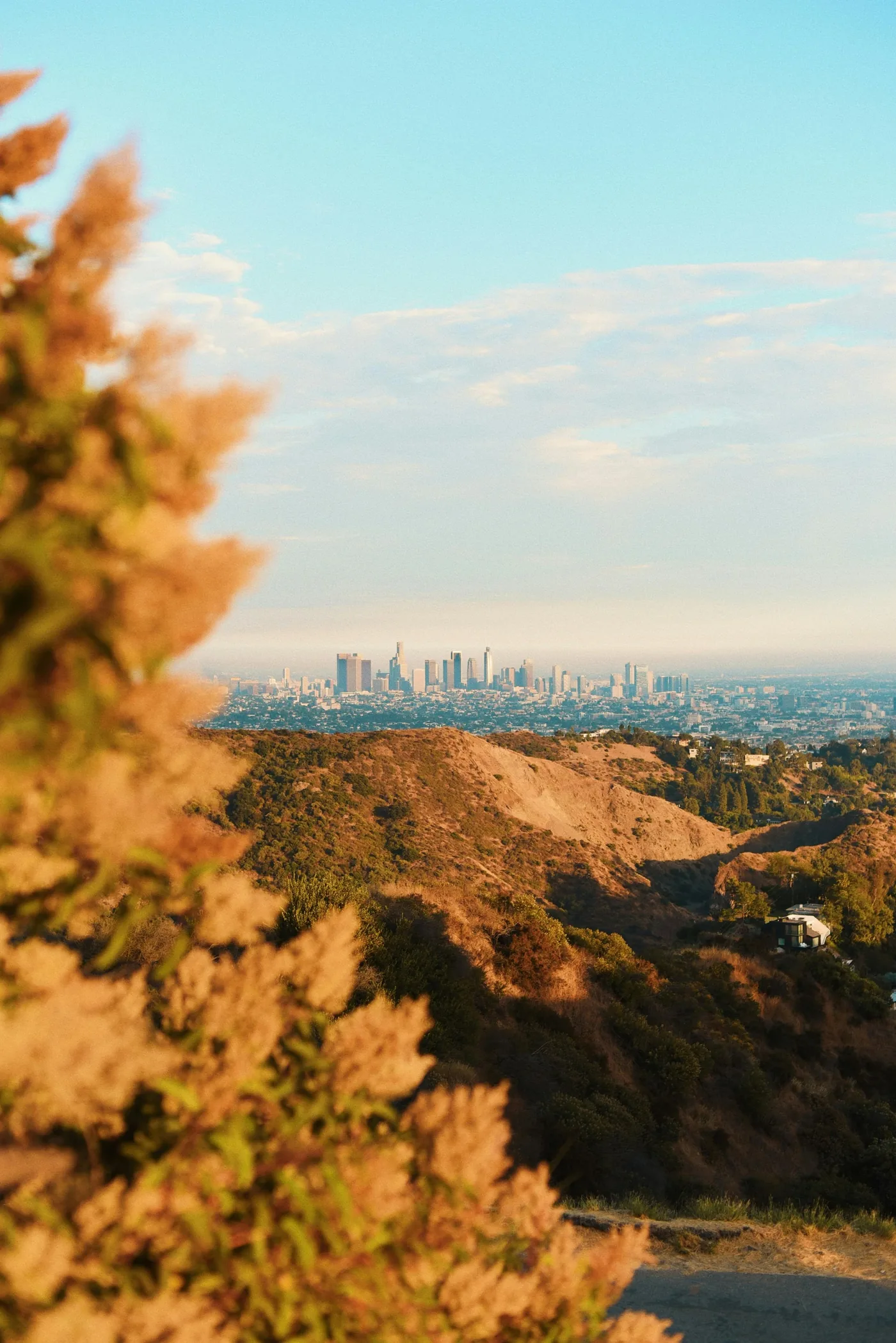 View toward the hills above West Los Angeles and Brentwood